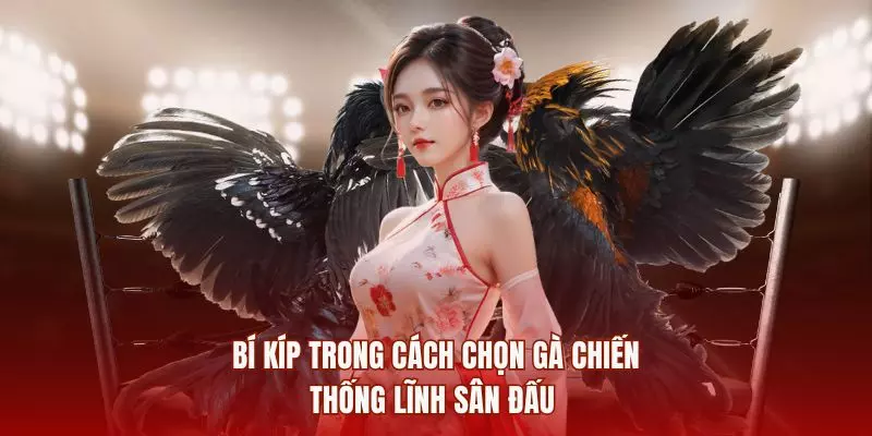 Bí kíp trong cách chọn gà chiến thống lĩnh sân đấu gachoic1