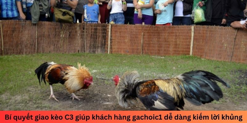 Bí quyết giao kèo C3 giúp khách hàng gachoic1 dễ dàng kiếm lời khủng