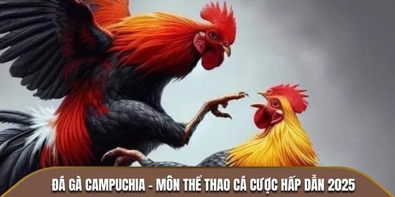 đá gà trực tiếp campuchia hình thức giải trí tại gachoic1