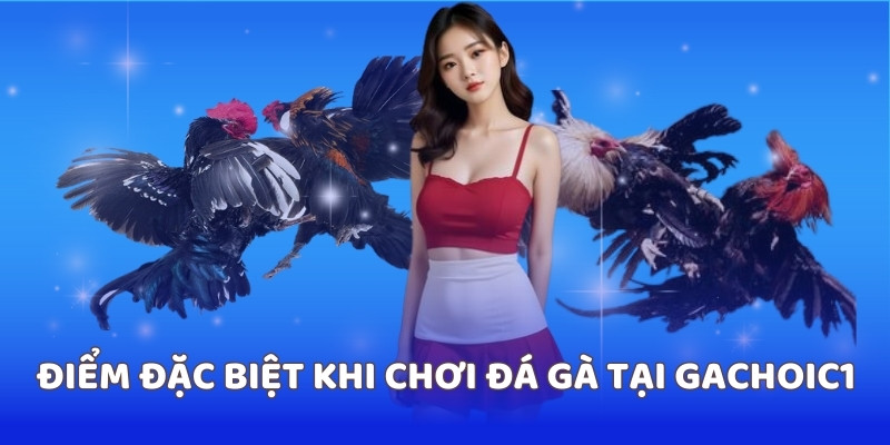 Điểm đặc biệt khi chơi đá gà tại gachoic1