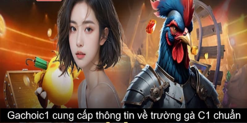 Gachoic1 chia sẻ thông tin về đấu trường gà C1 nổi tiếng