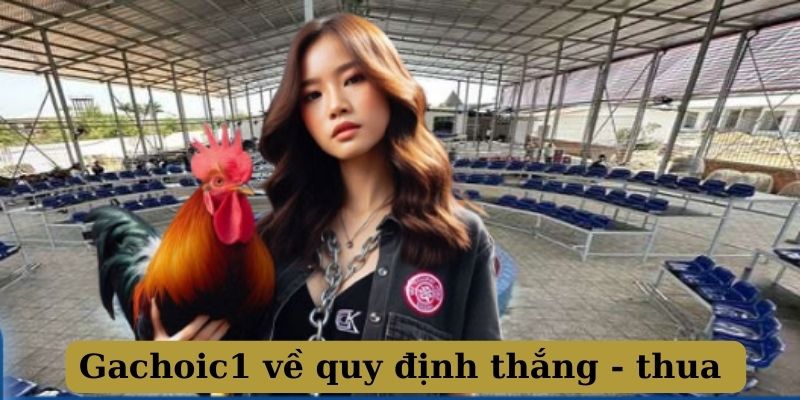 Gachoic1 cung cấp quy định thắng - thua rõ ràng trong các trận chọi gà