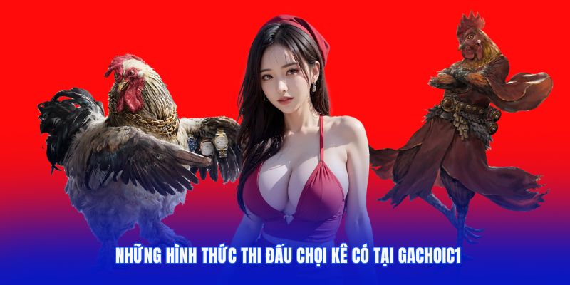 Những hình thức thi đấu chọi kê có tại Gachoic1 