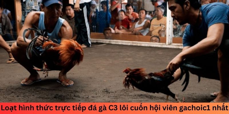 Loạt hình thức trực tiếp đá gà C3 lôi cuốn hội viên nhất