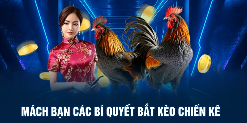 Gachoic1 mách bạn các bí quyết bắt kèo chiến kê 