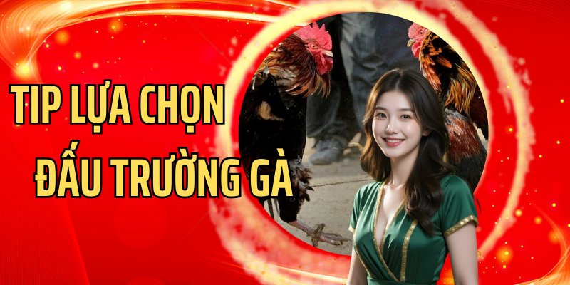 Mẹo hay của GACHOIC1 giúp nhận diện trường gà Thomo siêu uy tín 