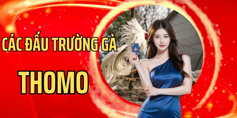 Một vài điểm đến đáng trải nghiệm khi xem Thomo theo GACHOIC1