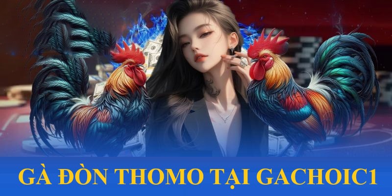 Nhà cái GaChoiC1 đem đến cho người chơi một sảnh giải trí uy tín