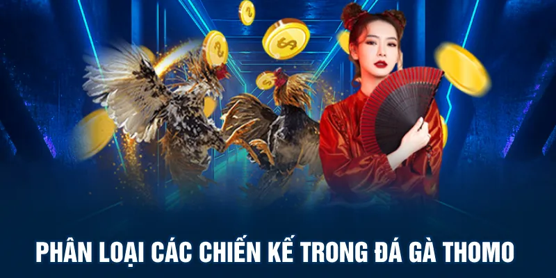 Phân loại các chiến kế trong đá gà thomo