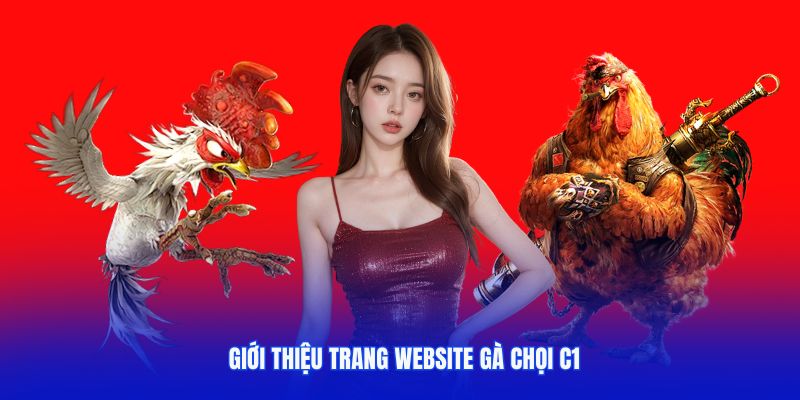 Những thông tin giới thiệu về sân chơi Gachoic1 