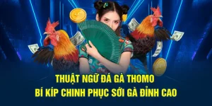 thuật ngữ đá gà thomo bí kíp chinh phục soi gà đỉnh cao