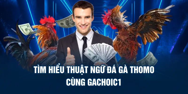 Tìm hiểu thuật ngữ đá gà thomo cùng gachoic1